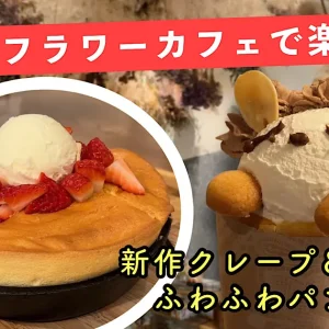 cafemyumyu_松山大街道カフェ_サムネイル画像