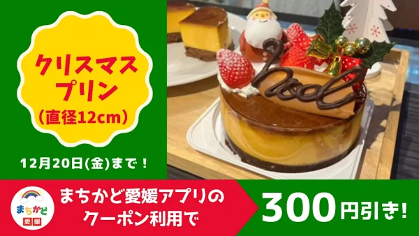 いーよプリンのクリスマスプリン_まちかど愛媛アプリクーポンでお得に