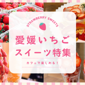 愛媛のいちごスイーツまとめ_サムネイル画像
