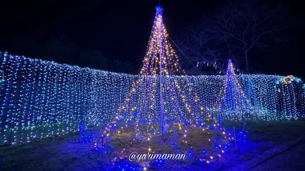 関川☆トゥインクルの光のトンネルとクリスマスツリー