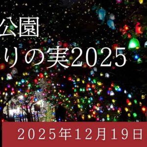 道後公園「ひかりの実2025」サムネイル画像