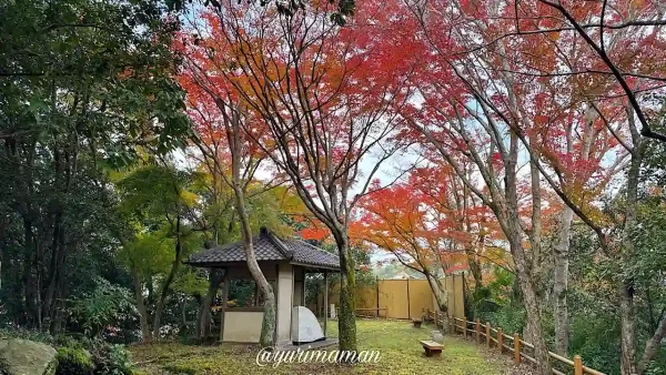 亀山公園・臥龍温泉隣の頂上の紅葉