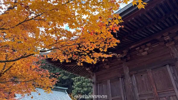 西条・新居浜の紅葉スポット巡り