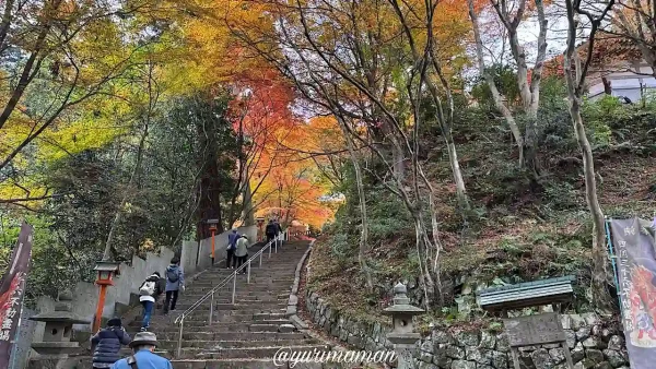 西山興隆寺の長い石段と見頃の紅葉風景