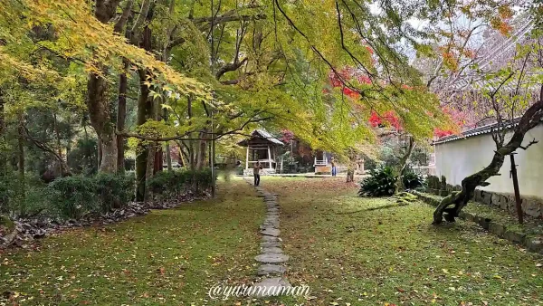 大洲市「如法寺」の紅葉はまだまだ緑が多め