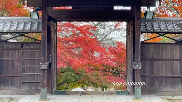 王至森寺の門越しに見える紅葉の美しい風景