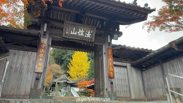 王至森寺の山門と真っ赤な紅葉に囲まれた風景