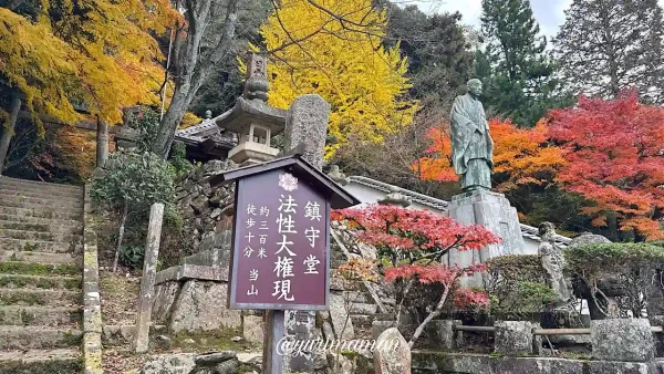 王至森寺の境内に広がるイチョウと紅葉の共演