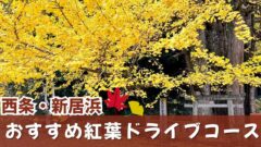 西条・新居浜の紅葉スポットを巡る秋のドライブコース｜サムネイル画像