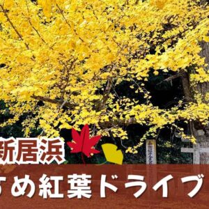 西条・新居浜の紅葉スポットを巡る秋のドライブコース｜サムネイル画像