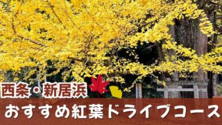 西条・新居浜の紅葉スポットを巡る秋のドライブコース｜サムネイル画像