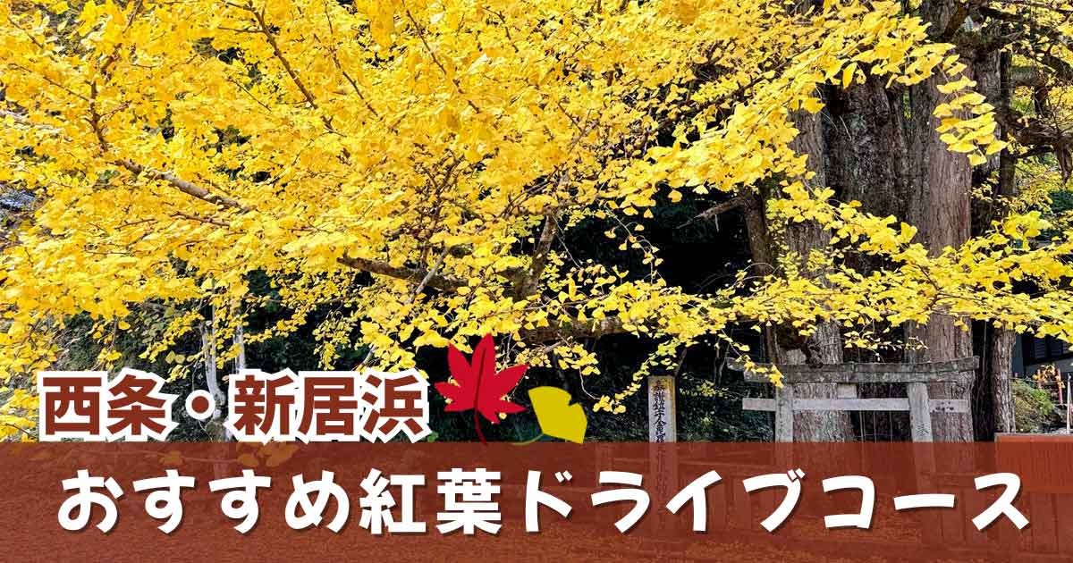 西条・新居浜の紅葉スポットを巡る秋のドライブコース｜サムネイル画像