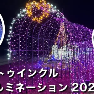四国中央市土居町で開催される関川☆トゥインクルイルミネーション2024。光のトンネルがパワーアップした幻想的な光景