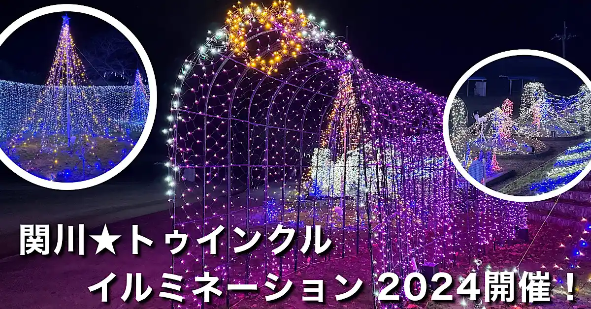 四国中央市土居町で開催される関川☆トゥインクルイルミネーション2024。光のトンネルがパワーアップした幻想的な光景