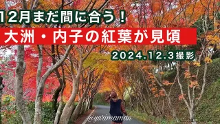 大洲・内子の紅葉が見頃！スポットまとめ_サムネイル画像