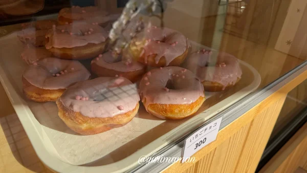 TOU°Cのショーケース_カラフルで種類豊富なドーナツが並ぶ宇和島の話題店-2