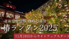 椿ランタン2025・飛鳥乃湯泉にて開催｜サムネイル画像