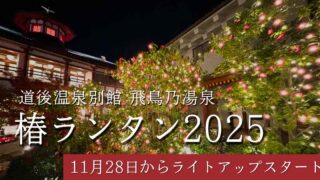 椿ランタン2025・飛鳥乃湯泉にて開催｜サムネイル画像