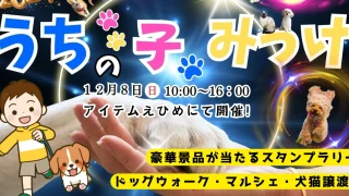 うちの子みっけ2024_アイテムえひめ_イベント_サムネイル画像