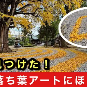 和霊神社の落ち葉アート_イチョウの葉で作る_サムネイル画像