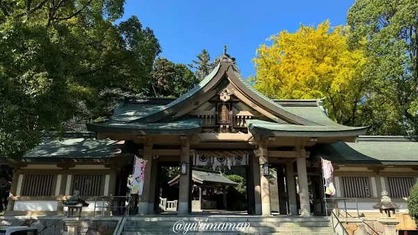 和霊神社の正門と鮮やかなイチョウの黄葉