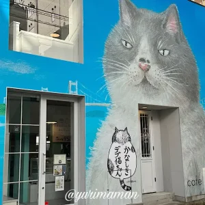 cafe蒼（カフェソウ）松山三番町店_一時閉店へ_サムネイル画像