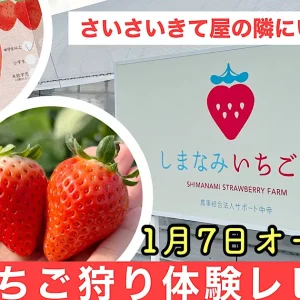 しまなみいちご園が今治市にオープン_サムネイル画像