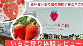 しまなみいちご園が今治市にオープン_サムネイル画像