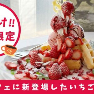 Buku Cafe ＆ Book_いちごスイーツが新登場_サムネイル画像