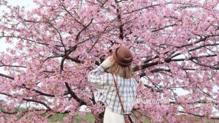 関川河川敷ふるさと広場_河津桜スポット_サムネイル画像
