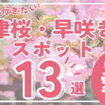 愛媛県の河津桜13選｜早咲き桜スポットで春を感じる絶景_サムネイル画像