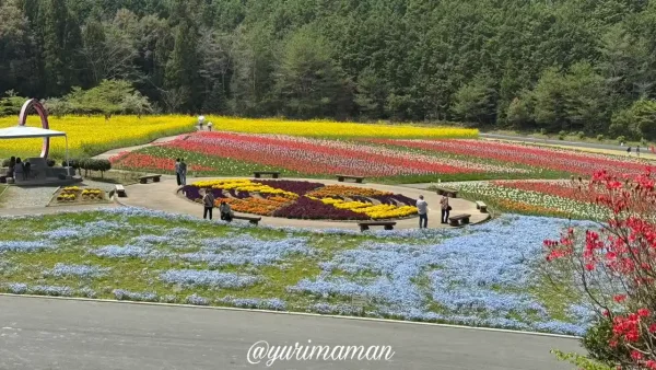 フラワーパークおおずの花見の丘からの眺め