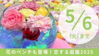 松山城二之丸史跡庭園 恋する庭園2025春イベント_サムネイル画像