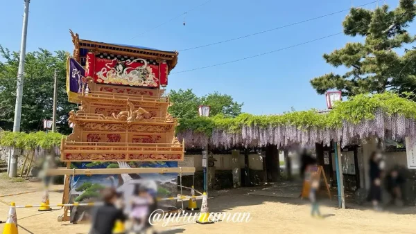 禎祥寺（観音堂）の藤棚と西条のだんじり