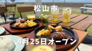 松山市北条のアロハテラス_サムネイル画像