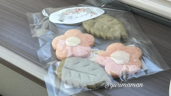 西予市カフェ「cafe花と絵と珈琲」お花クッキー