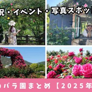 2025年5月に見頃を迎える愛媛県内のおすすめバラ園5選を紹介するまとめ記事のサムネイル画像
