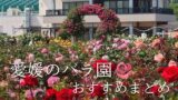Rose garden in full bloom with a pink floral arch and colorful roses, overlaid with Japanese text about Ehime rose garden recommendations.