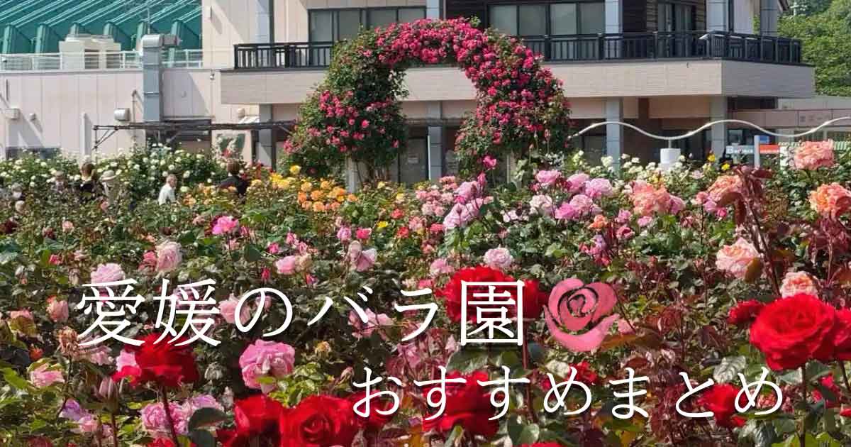 Rose garden in full bloom with a pink floral arch and colorful roses, overlaid with Japanese text about Ehime rose garden recommendations.