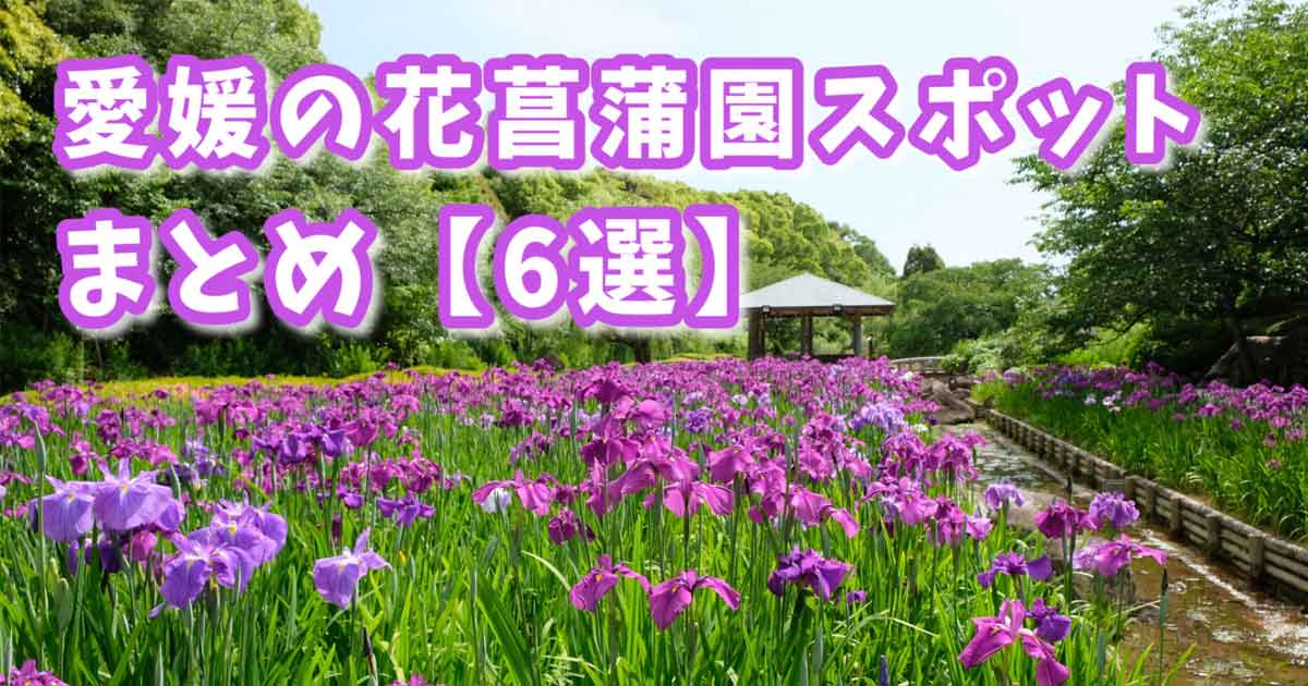 愛媛の花菖蒲園スポットまとめサムネイル画像