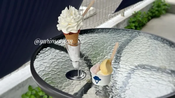フォーチュンアイスクリーム（松山市）ジェラートとソフト