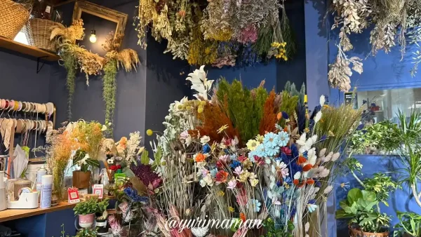 松山市来住町「gardenshop.ribbon」の内観