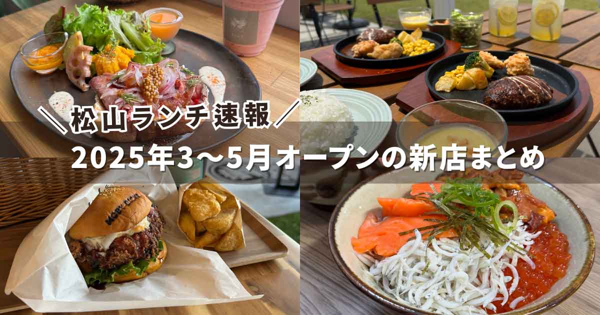 2025年5月に松山市でオープンした新店舗ランチまとめ（松山ランチ速報）