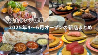 2025年4～6月に松山市でオープンした新店舗ランチまとめ（松山ランチ速報）サムネイル画像