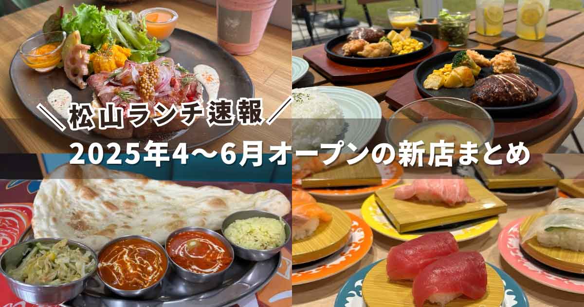 2025年4～6月に松山市でオープンした新店舗ランチまとめ（松山ランチ速報）サムネイル画像