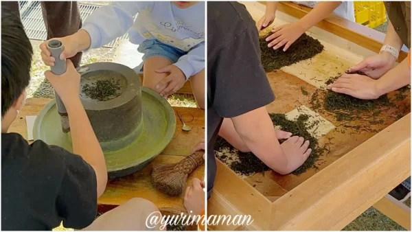 霧の森お茶まつり2025_抹茶を挽く体験と手揉み茶づくりをする様子
