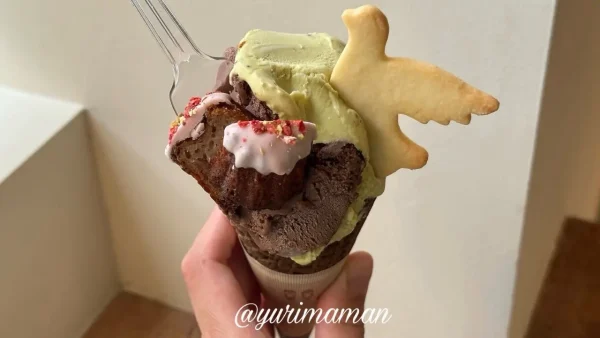 bake shop offrirのジェラート（ピスタチオ×チョコレート）1