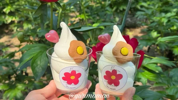 マイントピア別子のしゃく薬まつり限定の「おはなソフト」 - ゆりママんブログ マイントピア別子のしゃく薬まつり限定の「おはなソフト」