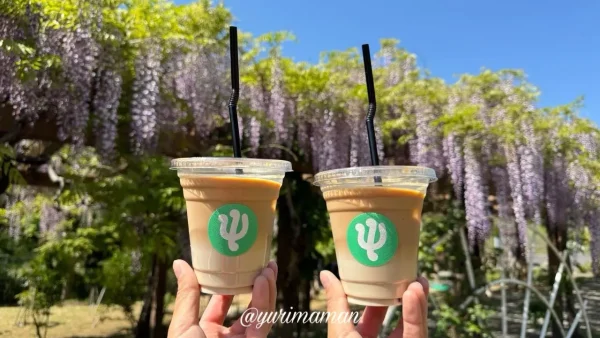 「Pusai Coffee Roastery」のカフェラテとふじ棚