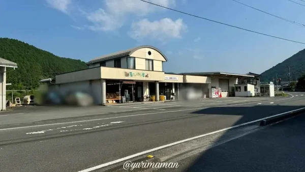 田之筋地区のひまわり畑（西予市）駐車場